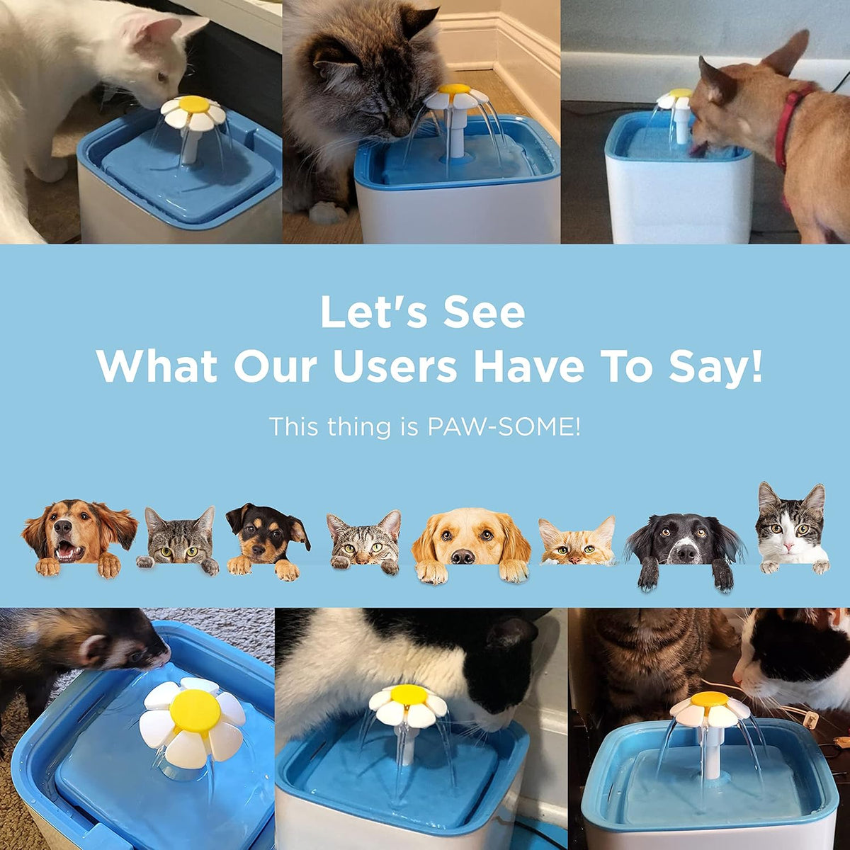 PureFlow Filtered Cat Water Fountain